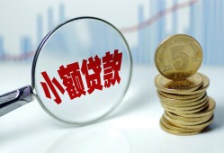 深圳25哪里可以小额贷款-深圳25哪里有民间借贷-深圳25民间短期私借借款