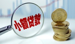 深圳25哪里可以小额贷款-深圳25哪里有民间借贷-深圳25民间短期私借借款